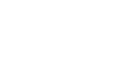 Logo Nexs