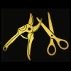 Logo EDWARD