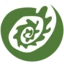 Logo Stichting Forest Peoples Programme