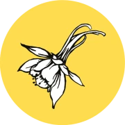Logo Akelei Schriek