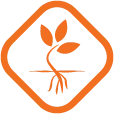 Logo Princen Coaching