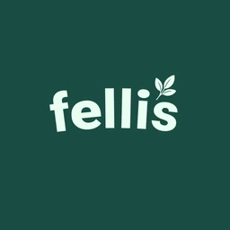 Logo FELLIS
