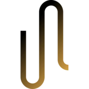 Logo Pulsations