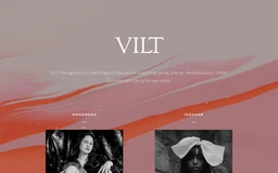 Logo VILT