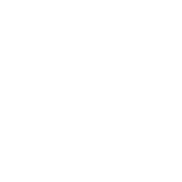 Logo SV2