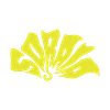 Logo SORAÏA