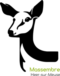 Logo DOMAINE DE MASSEMBRE