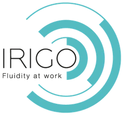 Logo IRIGO
