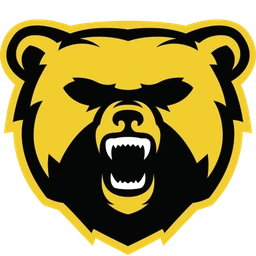Logo ANDENNE Bears - AMERICAN FOOTBALL