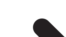 Logo BELIS
