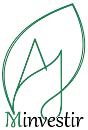 Logo MINVESTIR