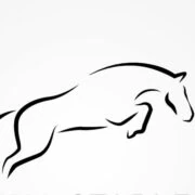 Logo PHENA