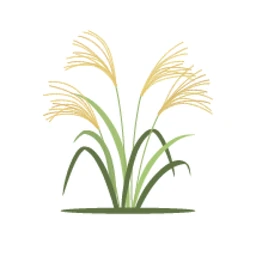 Logo MISCAGRI