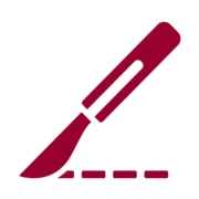 Logo ARCA