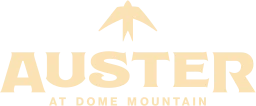 Logo AUSTER