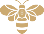 Logo MEDITERRANE