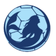Logo HK Waasmunster