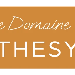 Logo THESY