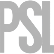 Logo P.S. Logistics