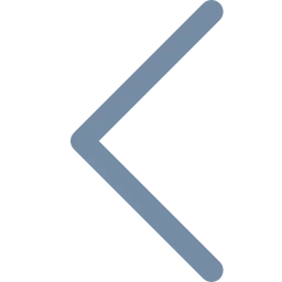 Logo VSI