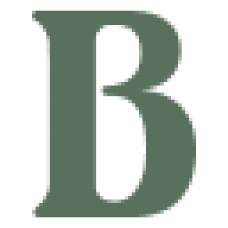 Logo Bonum