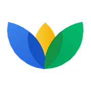 Logo BONG BELGIUM