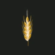 Logo SPIGA D'ORO