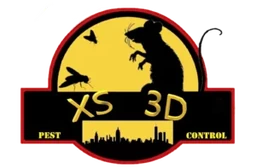 Logo XS3D