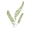 Logo ROOTS LANDSCAPE