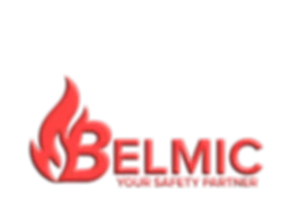 Logo BELMIC