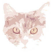 Logo Freya’s Maine Coons