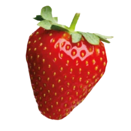 Logo Edelrot