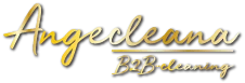 Logo Angecleana