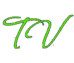 Logo TOITURES VILLEZ