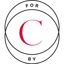 Logo CAPSTON PROJECTS