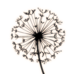 Logo LES PETITS SOUFFLONS