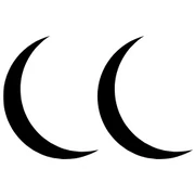 Logo Lili Moonshine