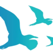 Logo THE BLUE OCEAN COMPANY