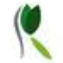 Logo REMELS