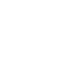 Logo Narwal