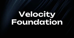 Logo Velocity Foundation