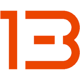 Logo PROJECT 13