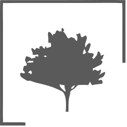 Logo Scala Parket