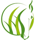 Logo JOPACK