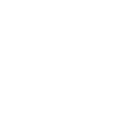Logo SMART FLUID