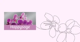 Logo Happysage