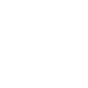 Logo DUODECIM