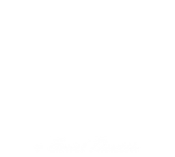 Logo PNF Patine