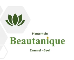 Logo BEAUTANIQUE