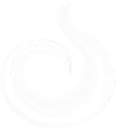 Logo REMEMBER PIT